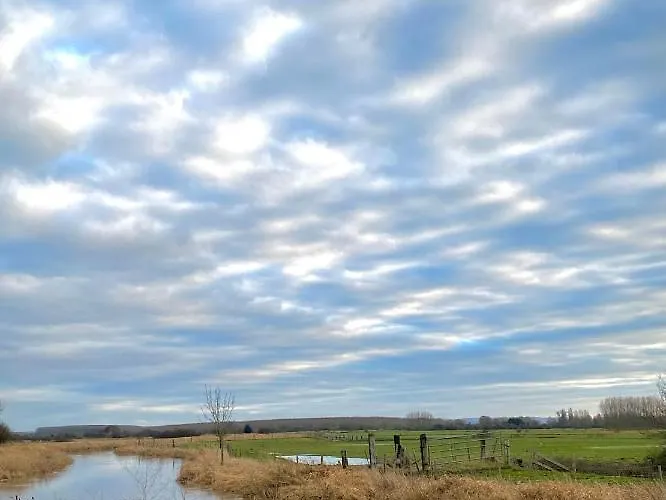 Maison Traditionnelle Normande Avec Piscine 別荘 *